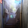 DSC02841