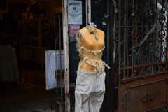 DSC_0088 DSC_0088