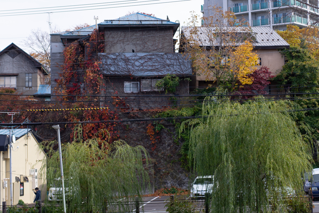 hoxtukaido-9