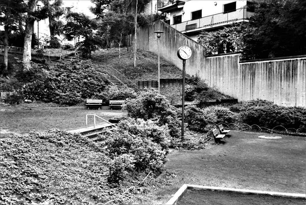 IMAG0362