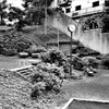 IMAG0362