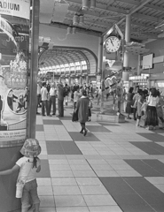 オリンパスペンEE3 (1 - 81)