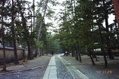 bijoKAIRYPOU-7