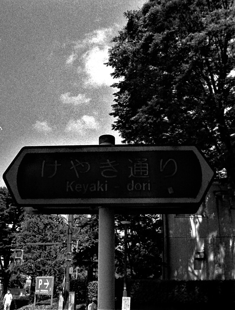 IMAG0256