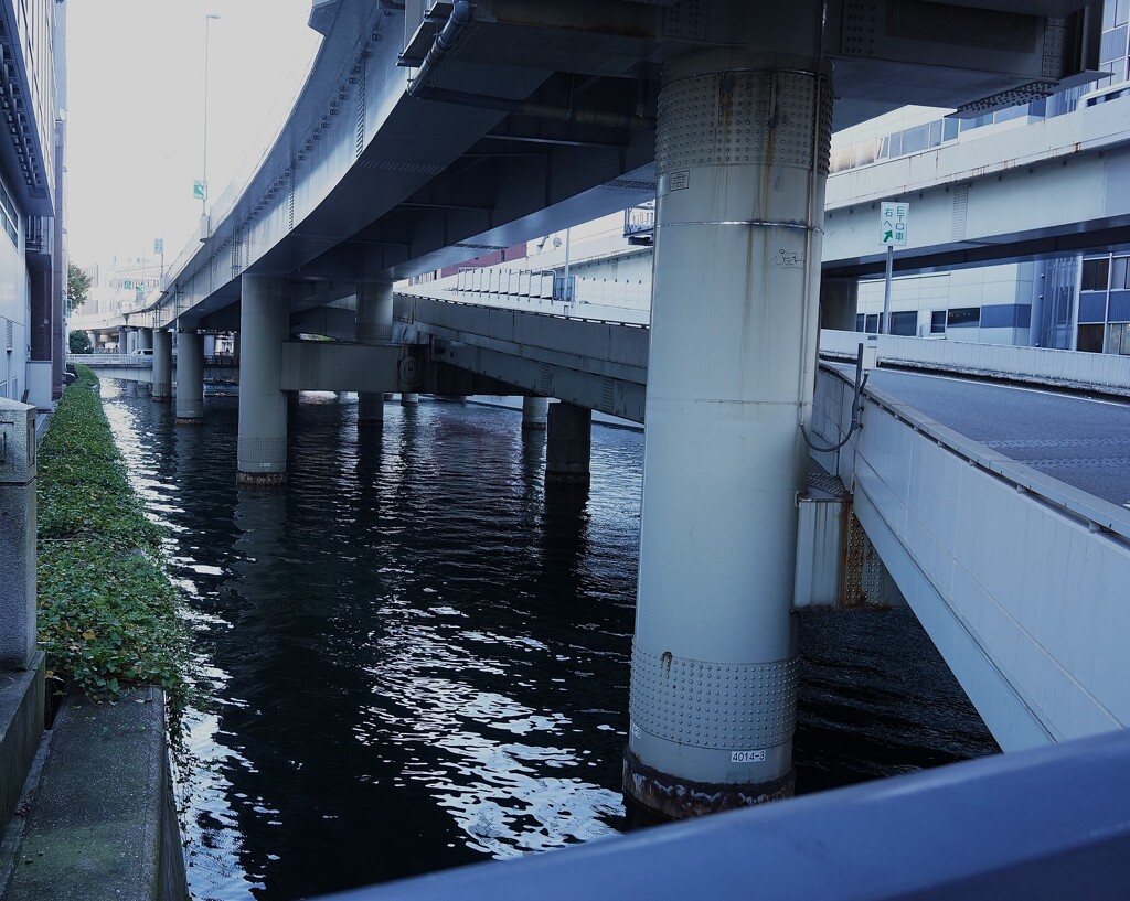 DSC05294