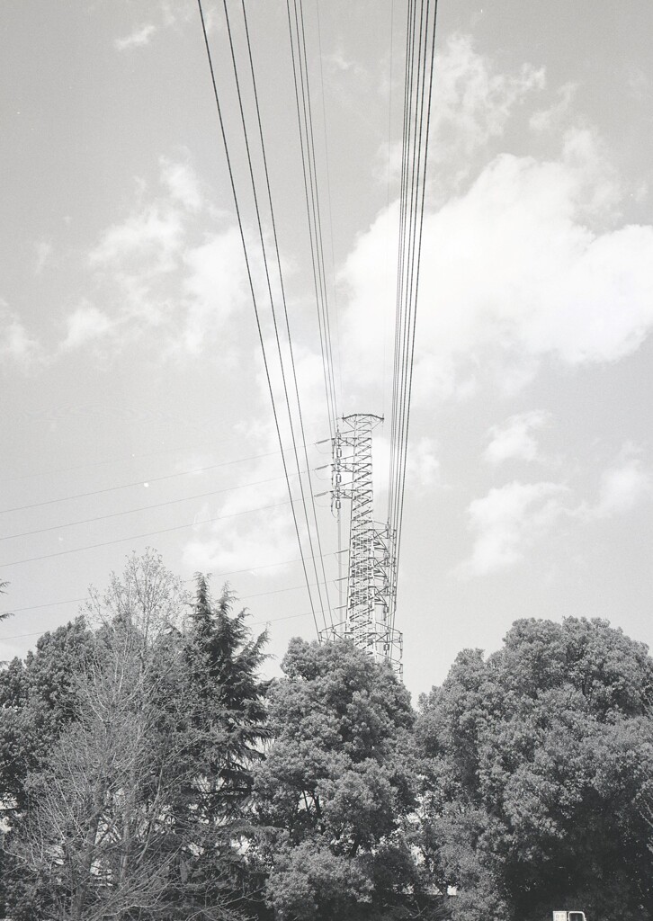 645ga014 - コピー (4)