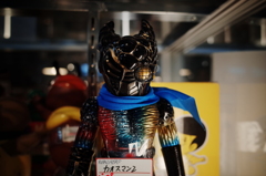 R0030062