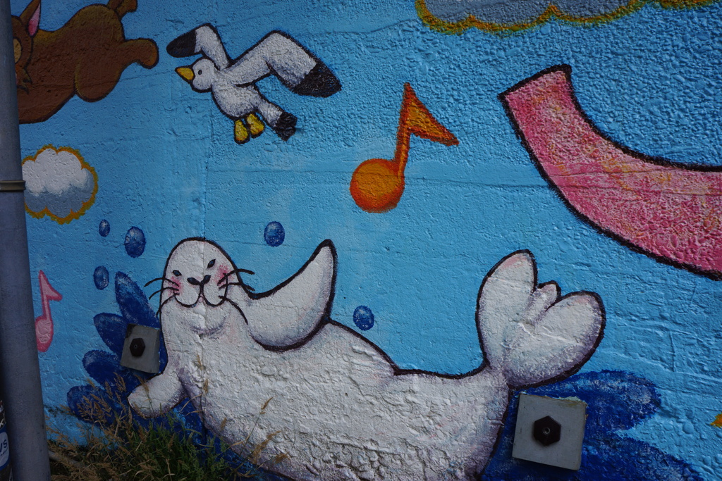 DSC07047