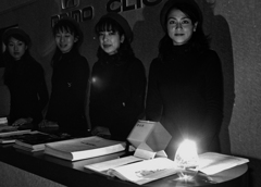 bijo-28
