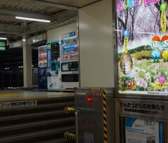 DSC05339