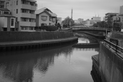 DSC09661