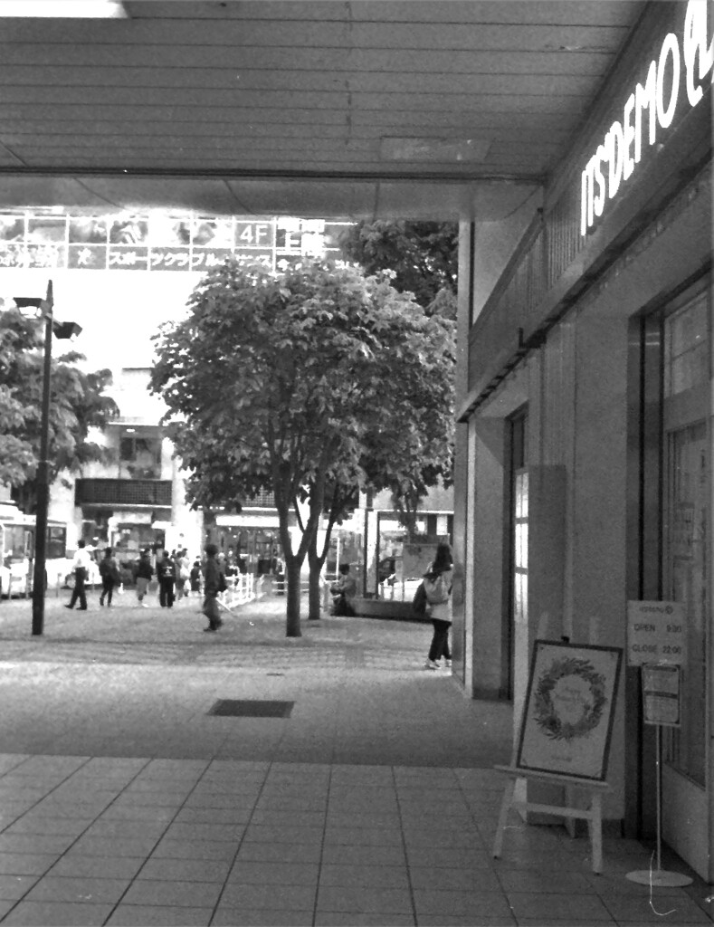 IMAG0012 - コピー