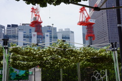 DSC07038