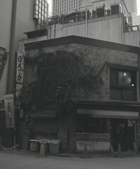 645ga043 - コピー (8)