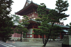 bijoKAIRYPOU-3