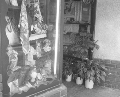 オリンパスペンEE3 (9 - 81)