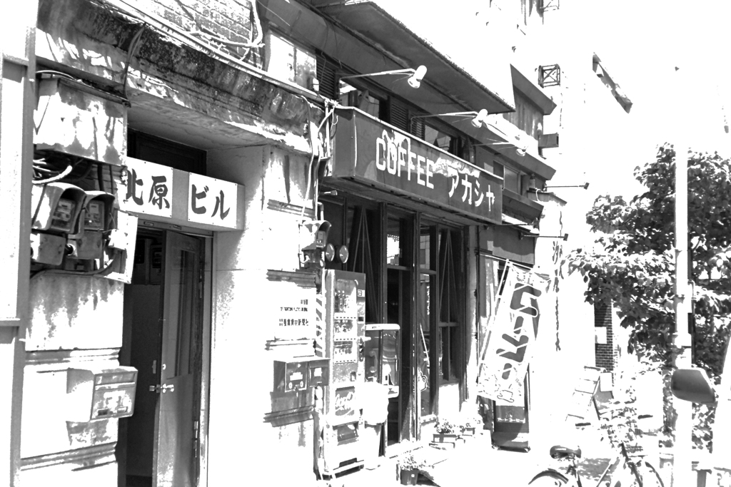 IMAG0308