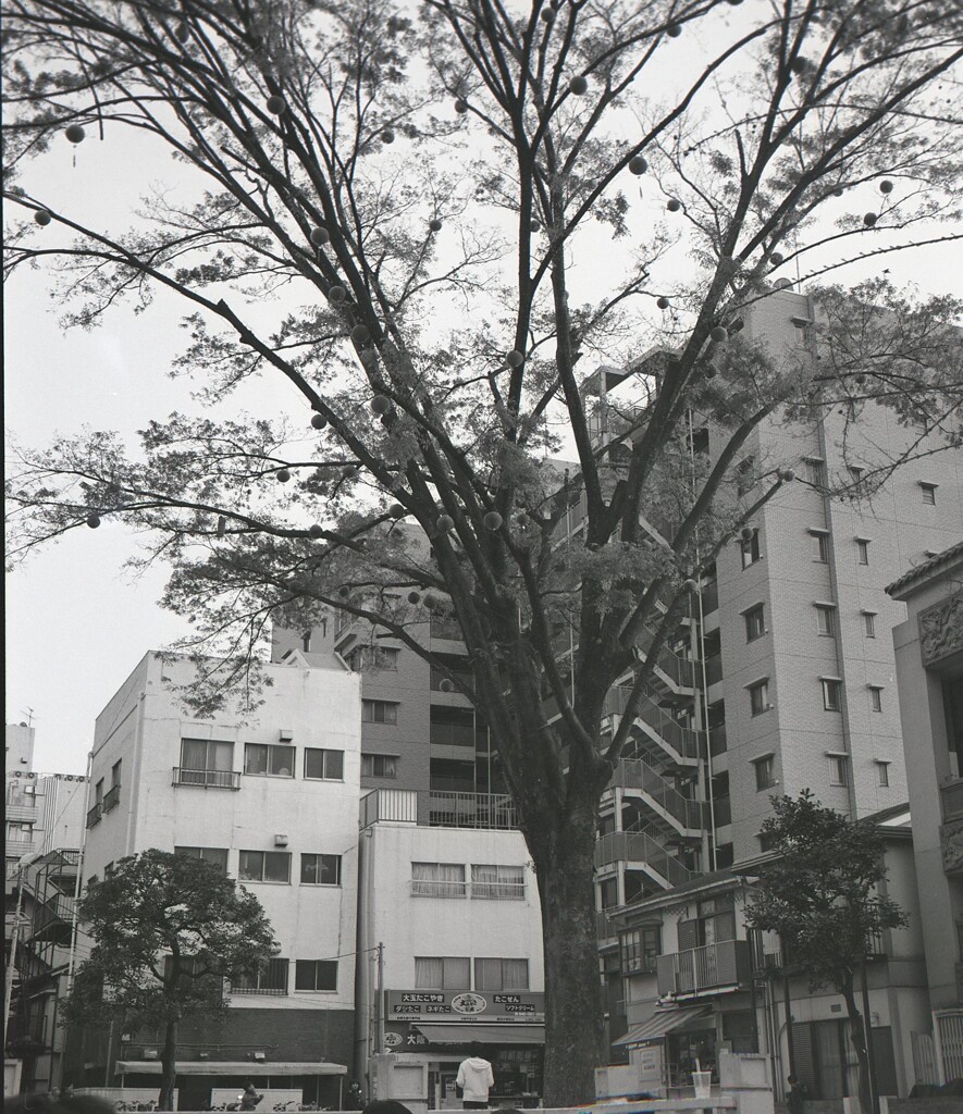 645ga016 - コピー (2)