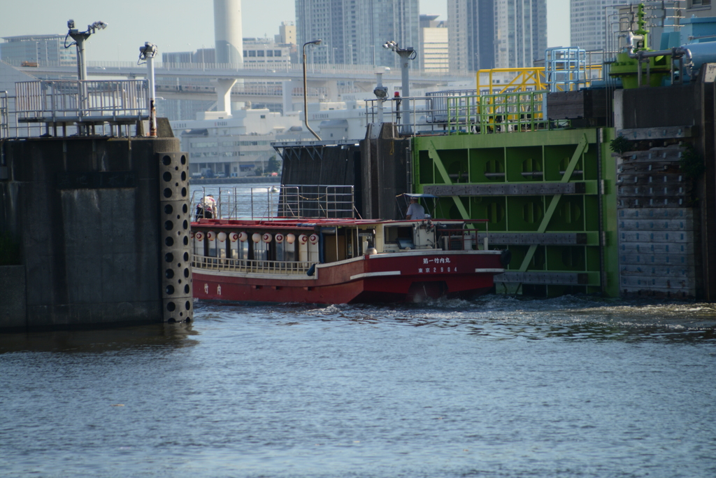 DSC_2428