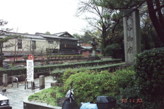 bijo-29