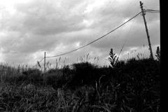 IMAG0036