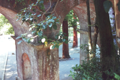 bijo-230