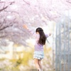 ♪さくら舞い散る♪