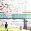 少女、桜、高架