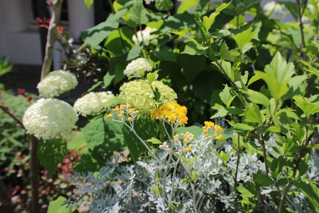 上品ににぎやかに