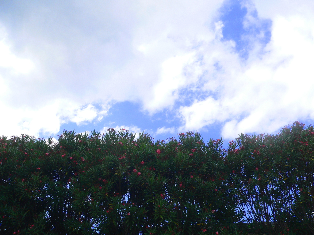 雲に向かって