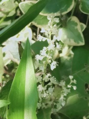 ひかえめに、そっと