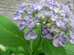 優しいおしゃべり