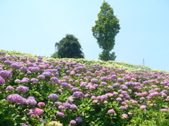 ちょっと相談なんだけど