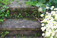 五月の匂い１０