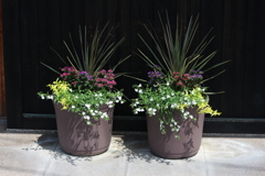 いらっしゃいませ