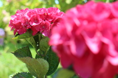 いつも見守っています