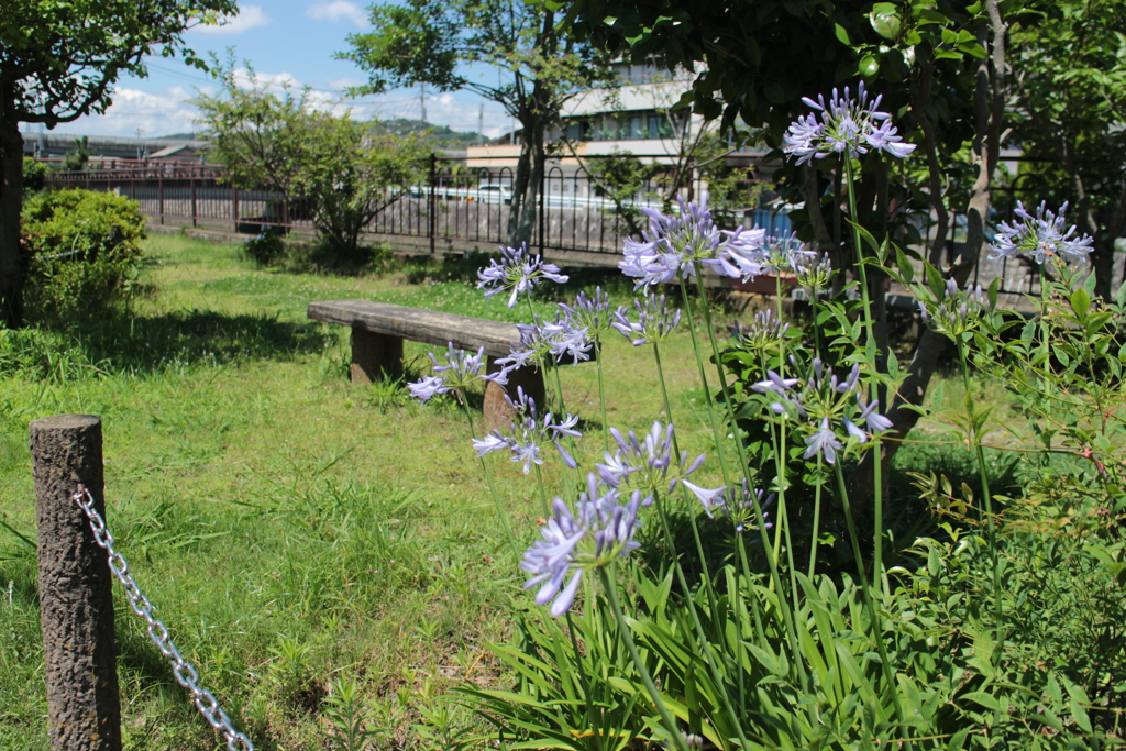 横幅50cm山の中の可愛いベンチ☆公園☆古民家☆防腐処理☆ガーデニング