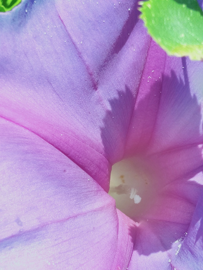 眩しいんですけど～