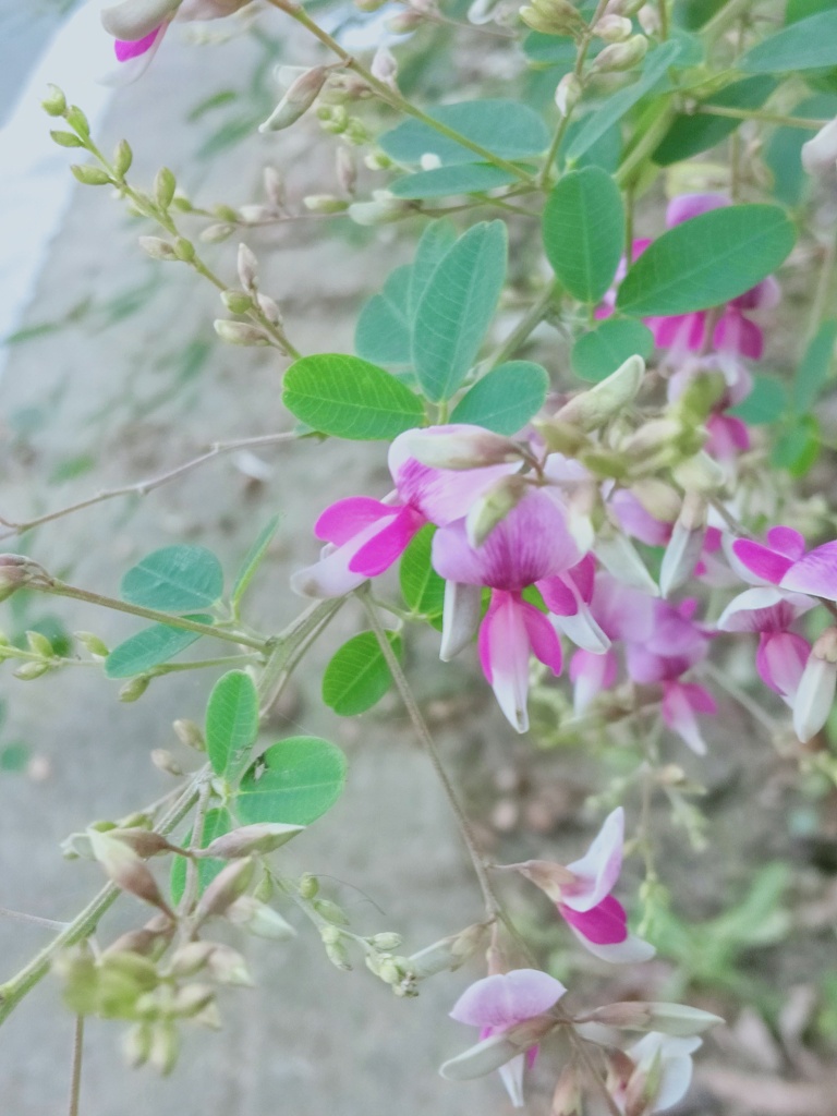 そっと語りかけて