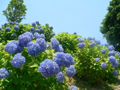 青空に負けない