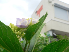 郵便局にいらっしゃい！