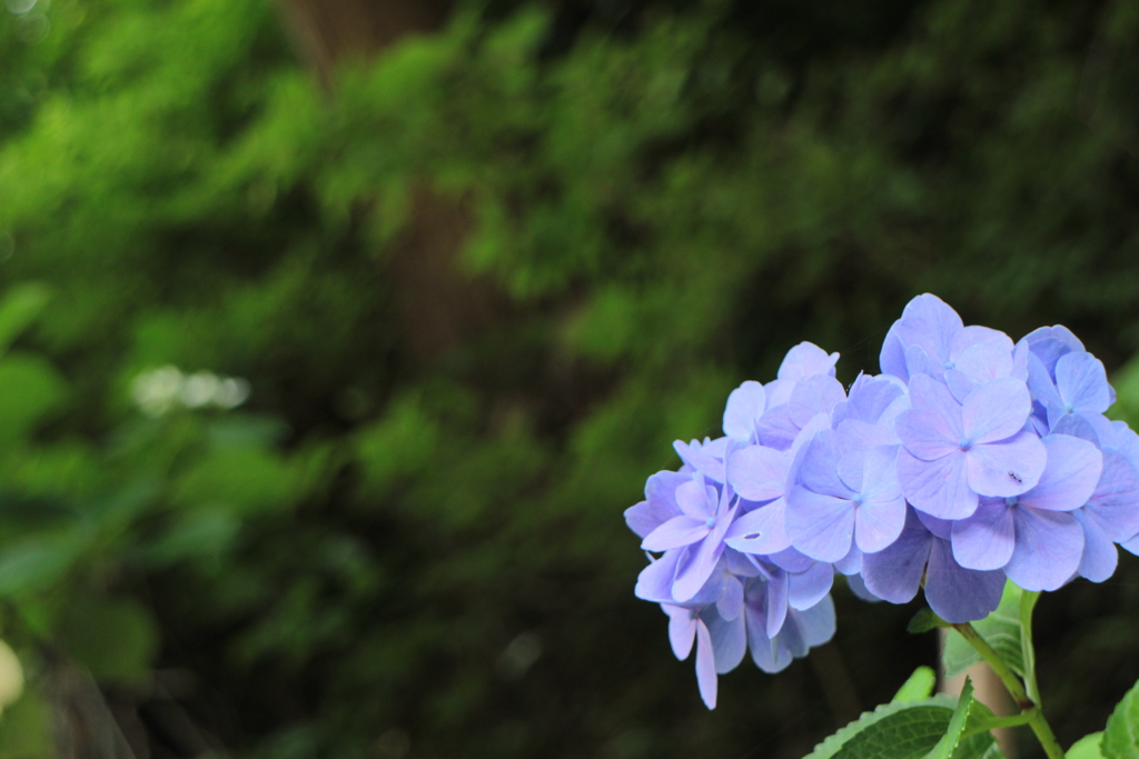 遠くを見つめて