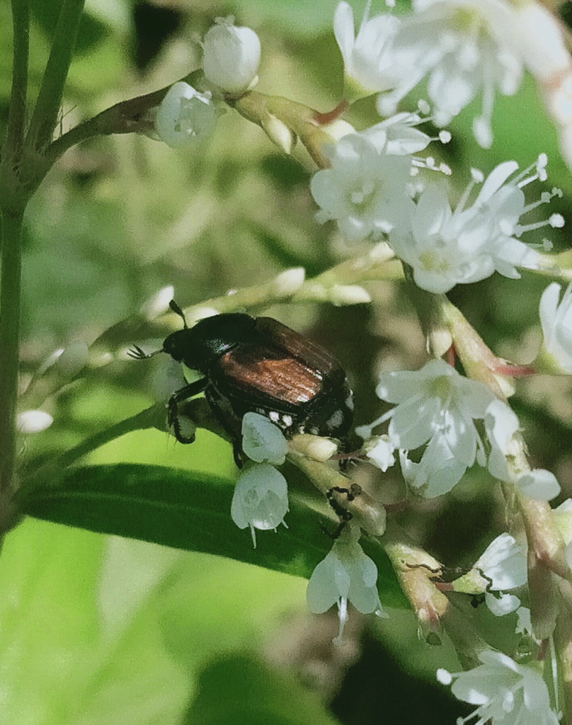 ちょっと涼んでいます