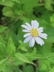 ひっそり