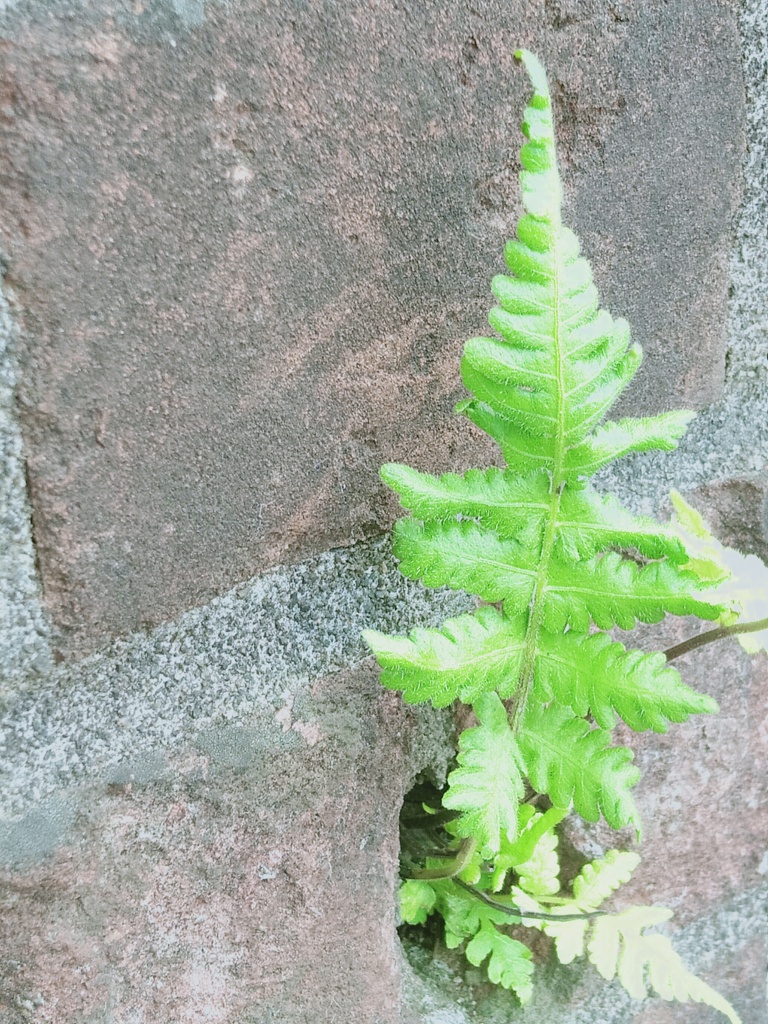 こんな所から失礼します