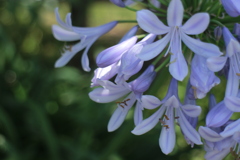 伝えたいことがあります1