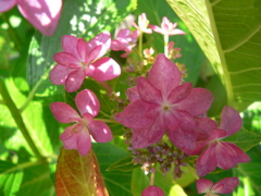 ちょっと涼んでます