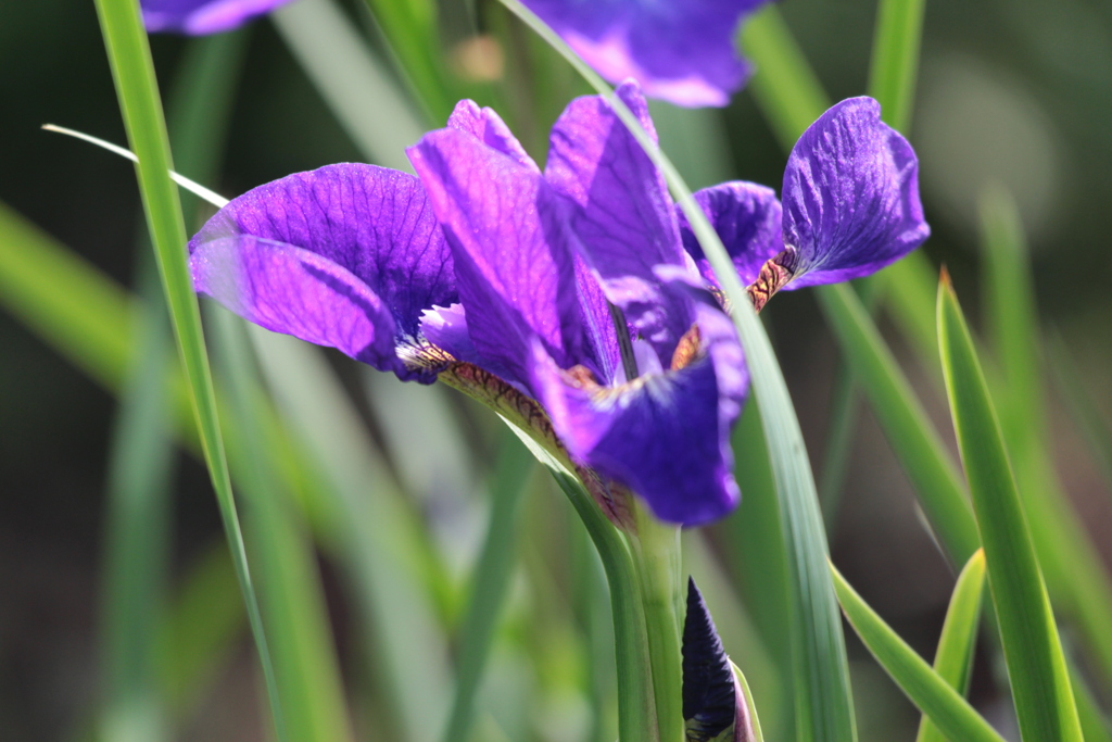 力強く。嬉しい出会い