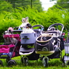 狆の小金井公園お散歩友の会(20210613)