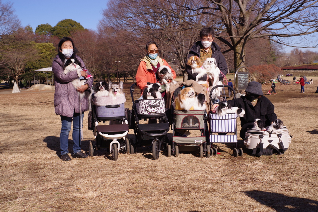 狆の小金井公園お散歩友の会(20220109)